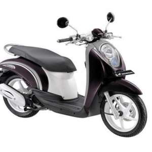 Scoopy
