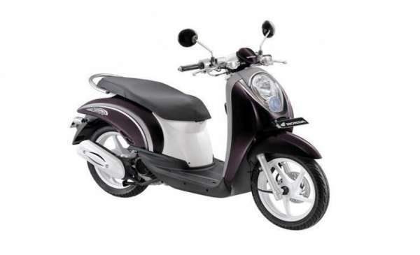Scoopy